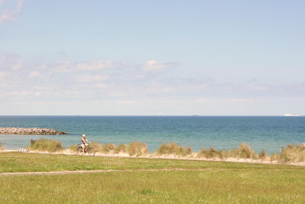Hotel Strandraeuber Kalifornien Oda fotoğraf